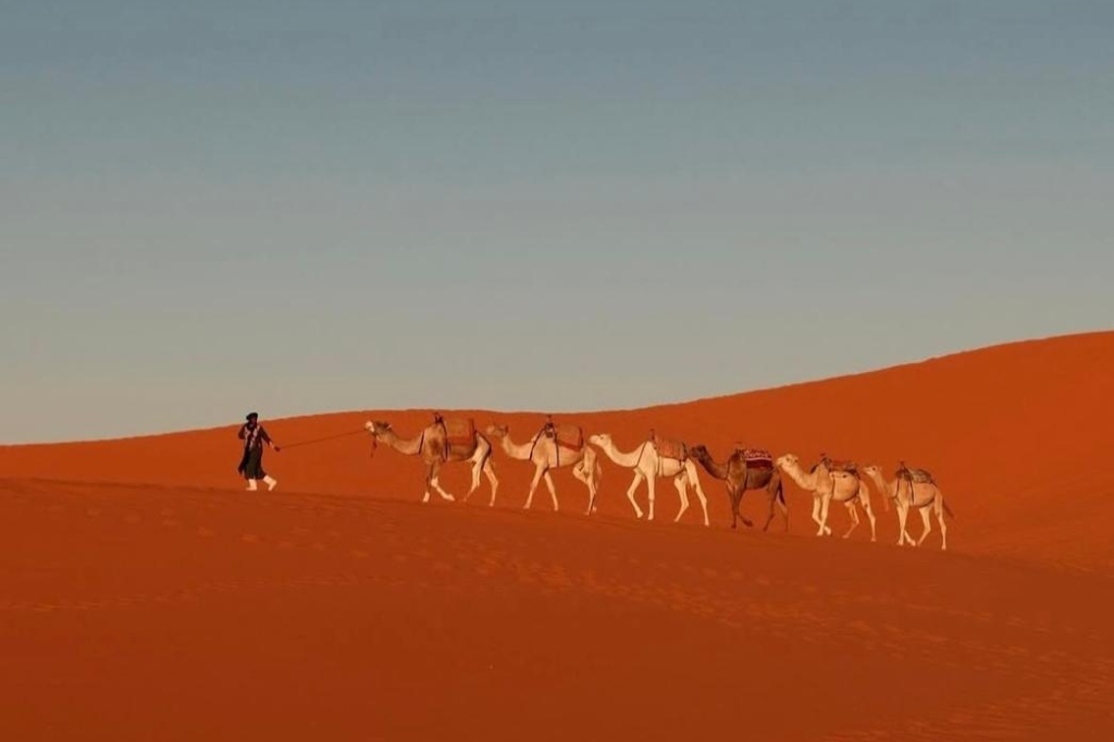 4 days trip from marrakech to fes